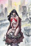 VAMPIRELLA: YEAR ONE #6-RI-D 