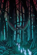 WYND: THE THRONE IN THE SKY #4C 