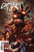 CARNAGE #12 