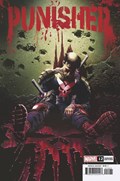 PUNISHER #12B 