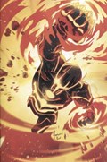 ROGUE SUN #8B 