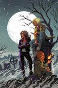 THE VAMPIRE SLAYER #12-RI-B 