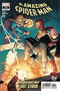 THE AMAZING SPIDER-MAN #13 