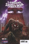 THE AMAZING SPIDER-MAN #13C 