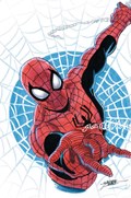 THE AMAZING SPIDER-MAN #31-RI-C 
