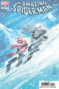 THE AMAZING SPIDER-MAN #20 