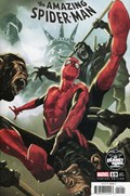 THE AMAZING SPIDER-MAN #19B 