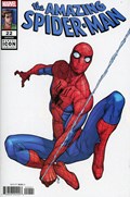 THE AMAZING SPIDER-MAN #22C 