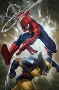 THE AMAZING SPIDER-MAN #9-616CX-B 