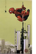 THE AMAZING SPIDER-MAN #23-TCM 