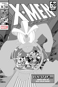 THE AMAZING SPIDER-MAN #49-RI-B 