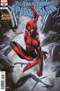 THE AMAZING SPIDER-MAN #53C 