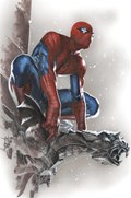 THE AMAZING SPIDER-MAN #33E 