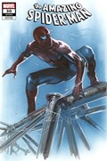 THE AMAZING SPIDER-MAN #30E 