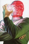 CAPTAIN AMERICA: SYMBOL OF TRUTH #11B 