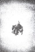TWIG #4G 