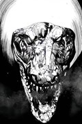 KROMA #4-RI-B 