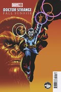 DOCTOR STRANGE: FALL SUNRISE #4C 