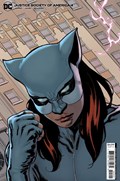 JUSTICE SOCIETY OF AMERICA #4B 