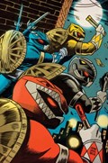 MIGHTY MORPHIN POWER RANGERS / TEENAGE MUTANT NINJA TURTLES II #1-RI-C 