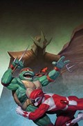 MIGHTY MORPHIN POWER RANGERS / TEENAGE MUTANT NINJA TURTLES II #2-RI-F 