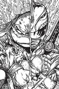MIGHTY MORPHIN POWER RANGERS / TEENAGE MUTANT NINJA TURTLES II #3-RI 