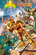 MIGHTY MORPHIN POWER RANGERS / TEENAGE MUTANT NINJA TURTLES II #1X 