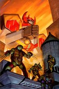MIGHTY MORPHIN POWER RANGERS / TEENAGE MUTANT NINJA TURTLES II #4-RI-E 