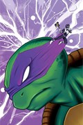 MIGHTY MORPHIN POWER RANGERS / TEENAGE MUTANT NINJA TURTLES II #4-WHATN 