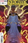 STORM & THE BROTHERHOOD OF MUTANTS #2-RI 