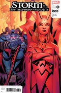 STORM & THE BROTHERHOOD OF MUTANTS #3B 
