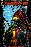 TEENAGE MUTANT NINJA TURTLES: THE LAST RONIN - THE LOST YEARS #2B 
