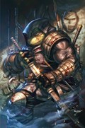 TEENAGE MUTANT NINJA TURTLES: THE LAST RONIN - THE LOST YEARS #1-CMCJJ 