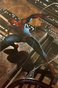 SPIDER-MAN #5-ILLUM-B 