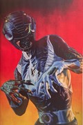MIGHTY MORPHIN POWER RANGERS #117E 