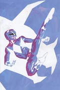MIGHTY MORPHIN POWER RANGERS #118-RI-C 