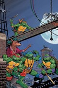 TEENAGE MUTANT NINJA TURTLES: SATURDAY MORNING ADVENTURES - CONTINUED #1-RI-B 