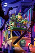 TEENAGE MUTANT NINJA TURTLES: SATURDAY MORNING ADVENTURES - CONTINUED #3-RI-B 