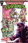 TEENAGE MUTANT NINJA TURTLES: SATURDAY MORNING ADVENTURES - CONTINUED #3C 