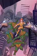 TEENAGE MUTANT NINJA TURTLES: SATURDAY MORNING ADVENTURES - CONTINUED #9-RI-D 