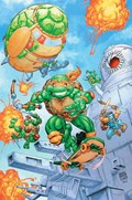 TEENAGE MUTANT NINJA TURTLES: SATURDAY MORNING ADVENTURES - CONTINUED #4-RI-B 