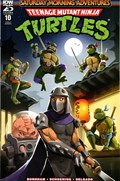 TEENAGE MUTANT NINJA TURTLES: SATURDAY MORNING ADVENTURES - CONTINUED #10B 