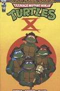 TEENAGE MUTANT NINJA TURTLES: SATURDAY MORNING ADVENTURES - CONTINUED #10 