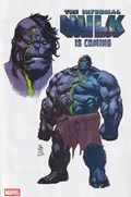 THE INCREDIBLE HULK #29-NYCC 