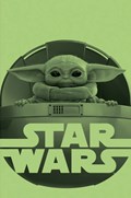 STAR WARS: THE MANDALORIAN SEASON 2 #2E 