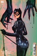 KNIGHT TERRORS: CATWOMAN #2B 