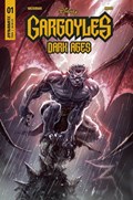GARGOYLES: DARK AGES #1B 