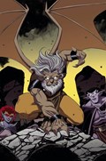 GARGOYLES: DARK AGES #1-RI-G 