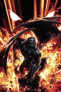 GARGOYLES: DARK AGES #5N 