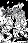 TEENAGE MUTANT NINJA TURTLES / STRANGER THINGS #1-RI-E 